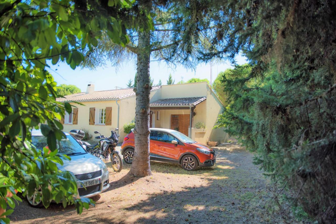 Villa 110m2, 7 pers, Jacuzzi , 3 chambres, terrain clos et arboré 2500m2 Trèbes Esterno foto